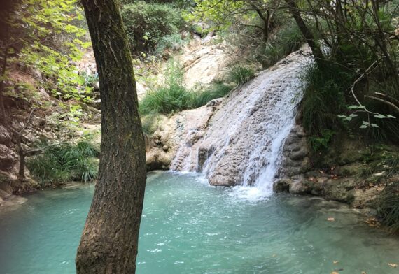 blog-image