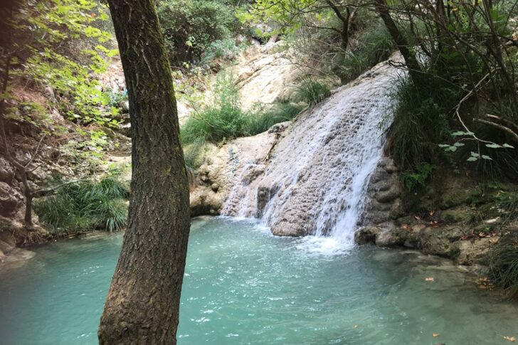 blog-image