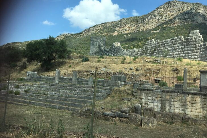 blog-image